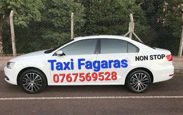 Taxi Fagaras logo